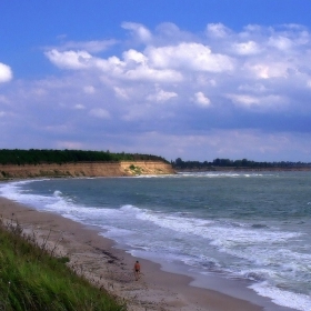 Сам