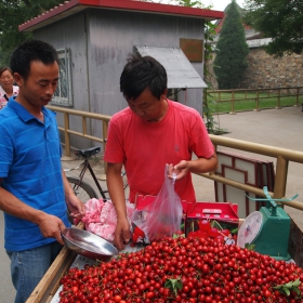 Продавачи на череши