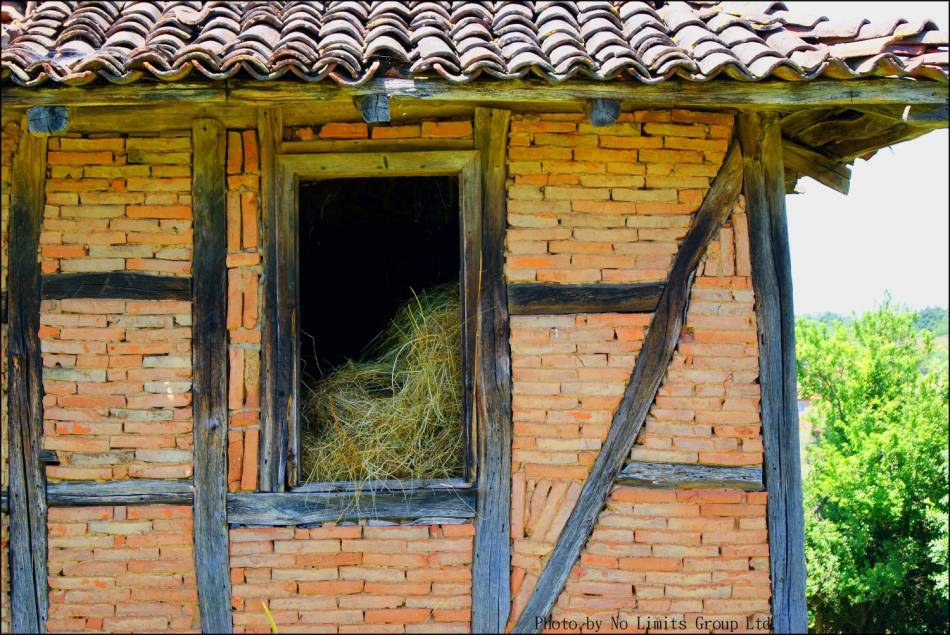 Window to the Back
