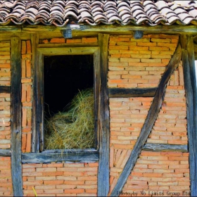 Window to the Back