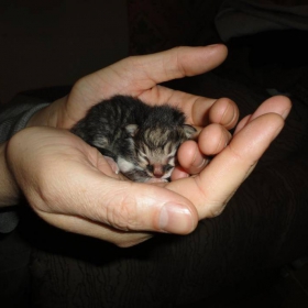 Снимка без име