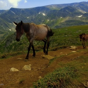 семейна лятна разходка