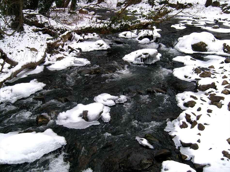 winter