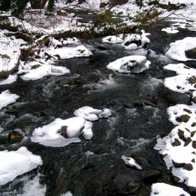 winter
