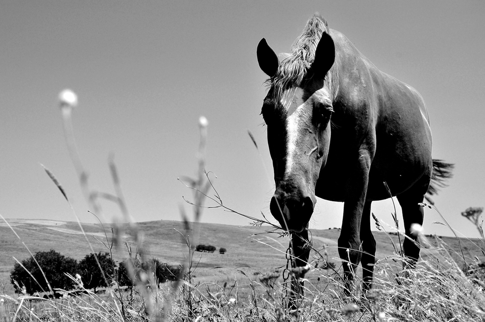Day after day...alone in the lonely wilderness...