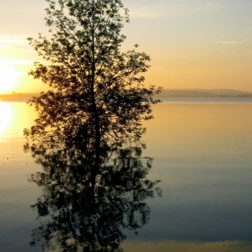 Lake Sacagawea: Sunset