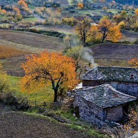 Селце в есенни краски
