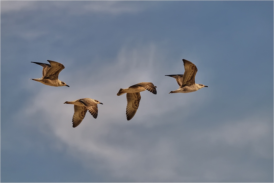 Air Four