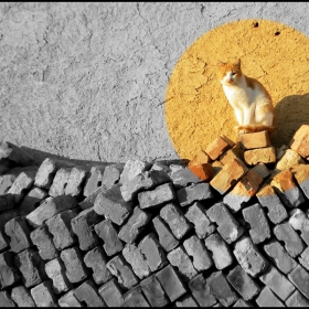черно/бяла