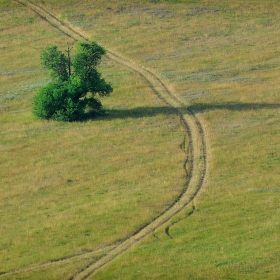 Снимка без име