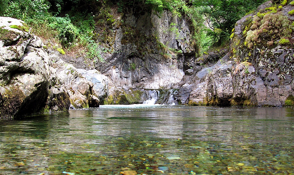Водата