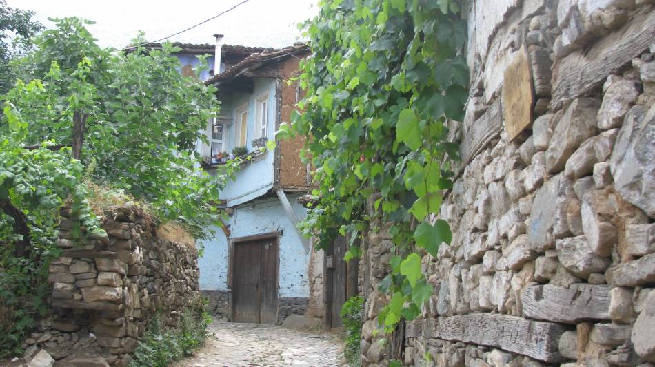 Bursa.cumali kizik