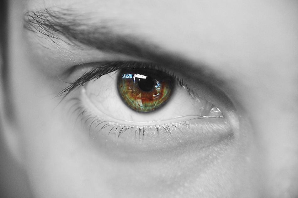 THE eye