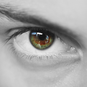 THE eye