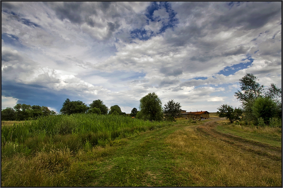 The Farm II