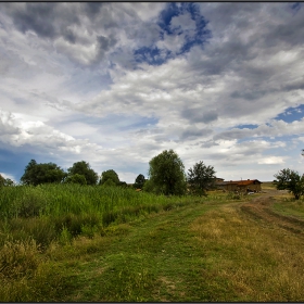 The Farm II
