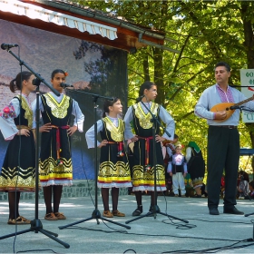 Струма пее 2011