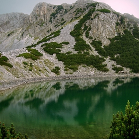 Връх Синаница