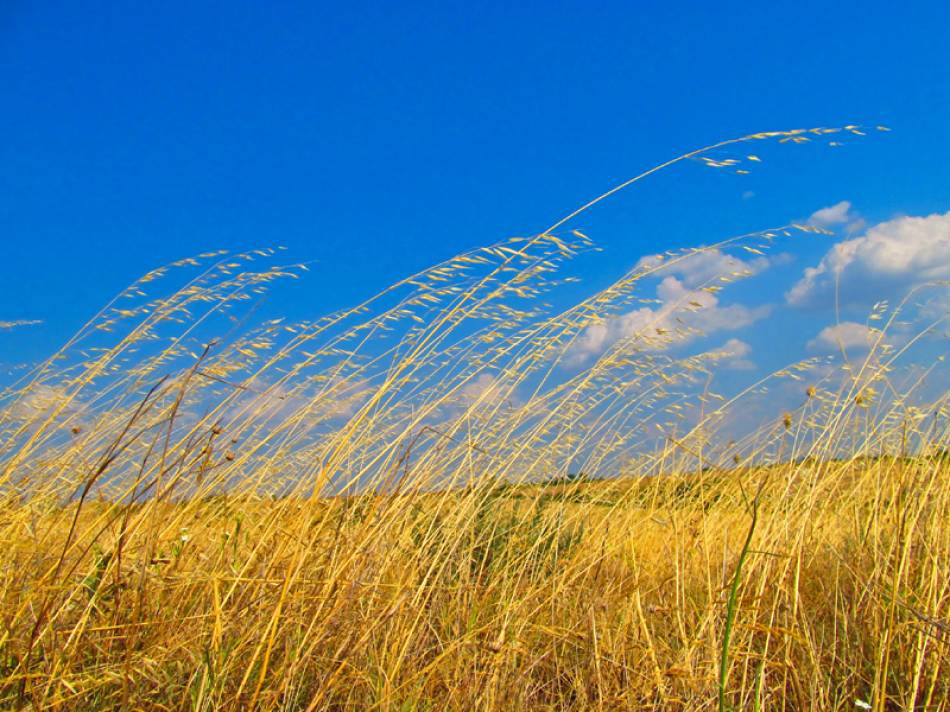 down the wind