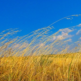 down the wind