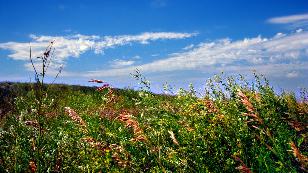 Prairie whispers