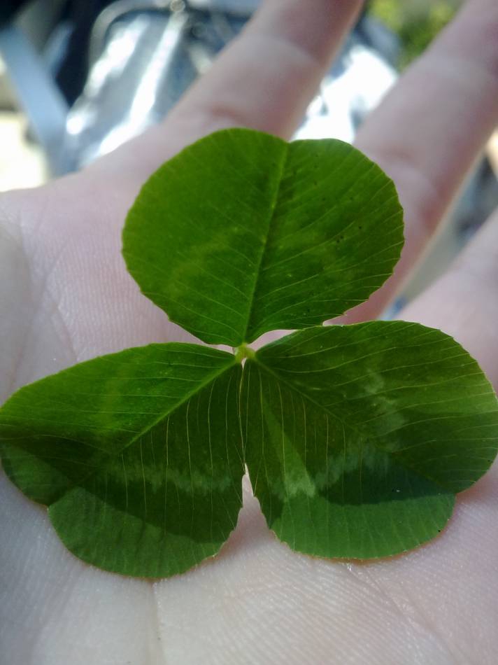 Lucky or not ;x