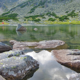 Далеч от суетата