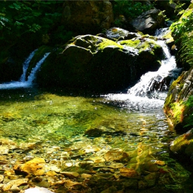 Палавата Скакавица