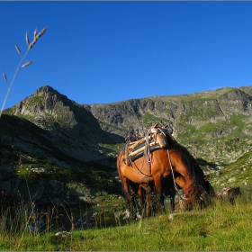 Рила 2011г...