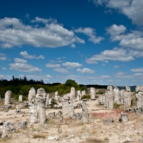 вкаменената гора