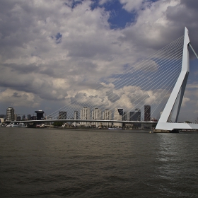 Erasumus  bridge,Rotterdam