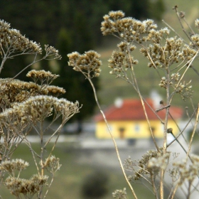 Гара в планината