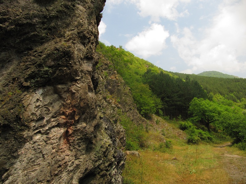 Вертикална граница
