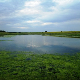 Водоем