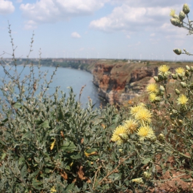 На нос Калиакра