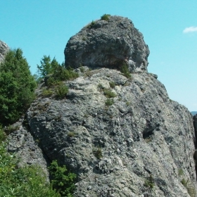 Кичикая
