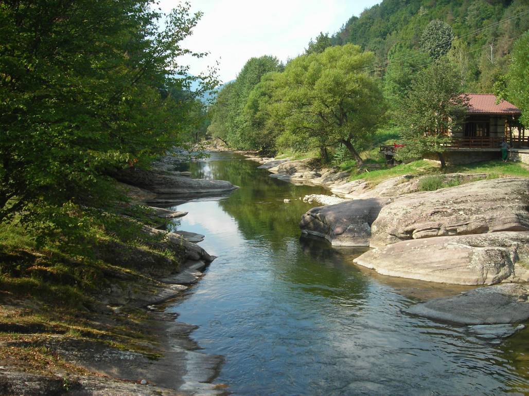 Рибарица