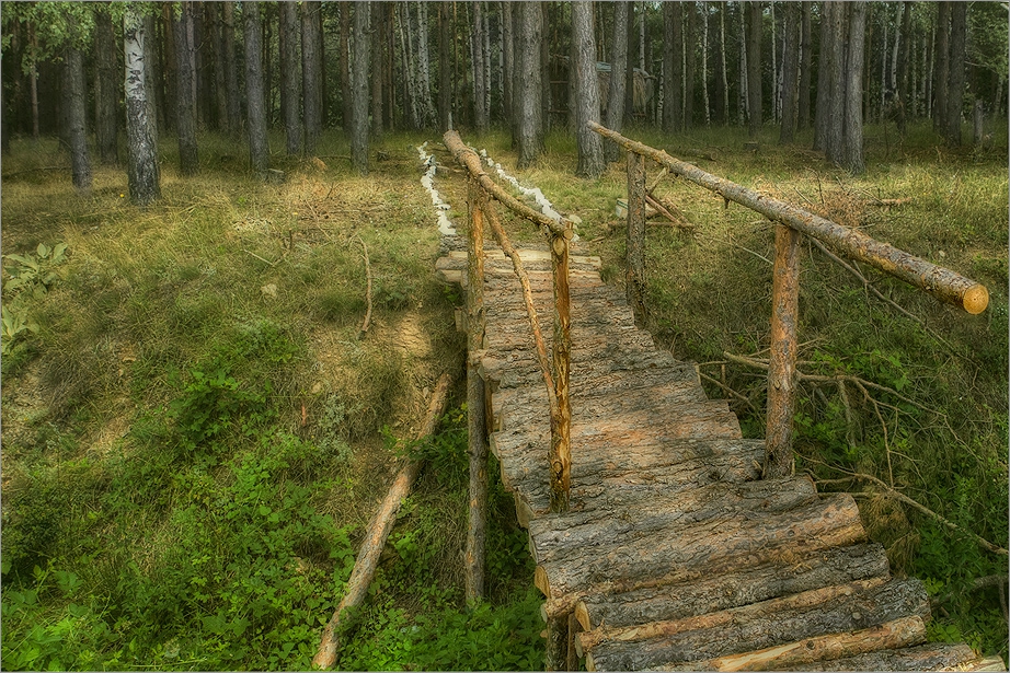 По мостче, по пътечка, към горичка