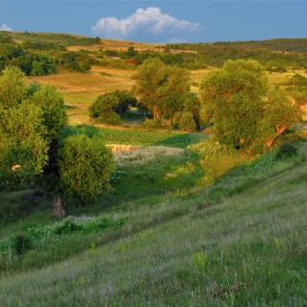 Пейзаж от БГ с редакция