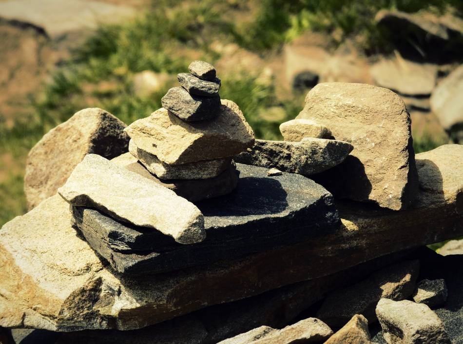 natural  balance ...
