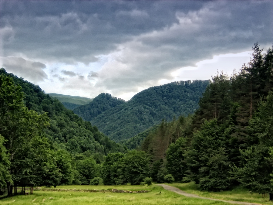 Рибарица