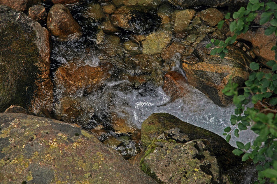 По планинската река .