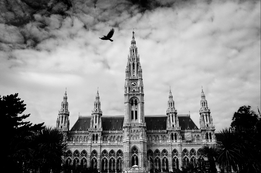 The Rathaus in Vienna