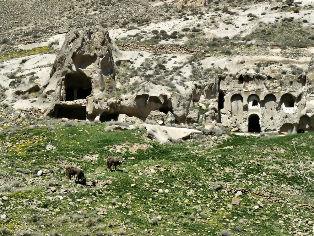 Кападокииски пасторал