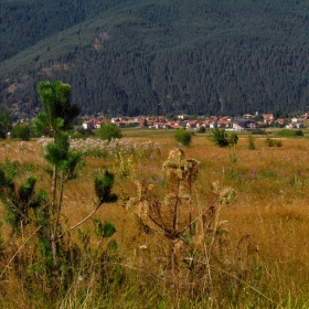 Панорама от Говедарци!