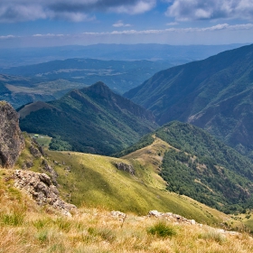 По Тарзановата...