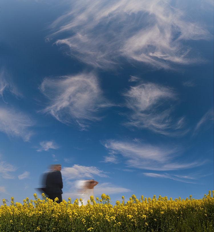 Gone with the Wind