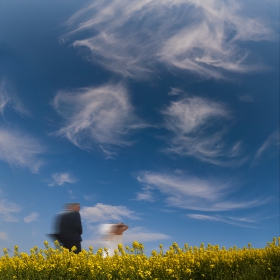 Gone with the Wind