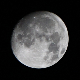 Mama Luna