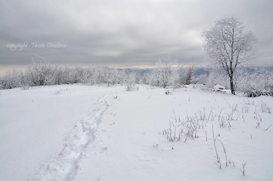 първи стъпки 01.01.2012 :)